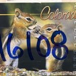 Postcard #16108 Chipmunks