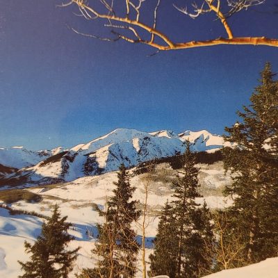 Postcard #13552 Winter (Vertical)