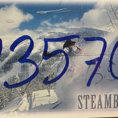 Postcard #13570-Cowboy Skiier