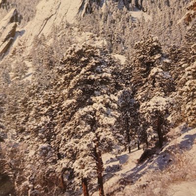 Postcard #13572 Winter Flatirons