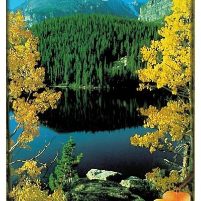 Postcard #13863 Fall