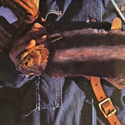 Postcard #14335 Fur-Bearing Trout