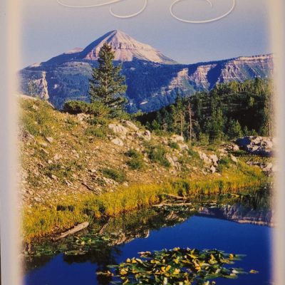 Postcard #15881 Colorado Eng. Mtn.