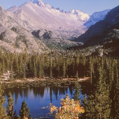 Postcard #16068 Longs Peak