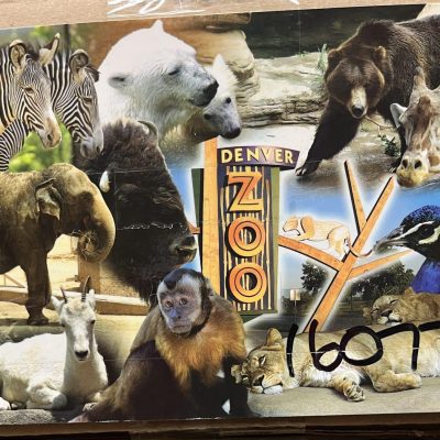 Postcard #16077 Denver Zoo