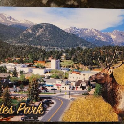#16195 Estes Park w/Elk