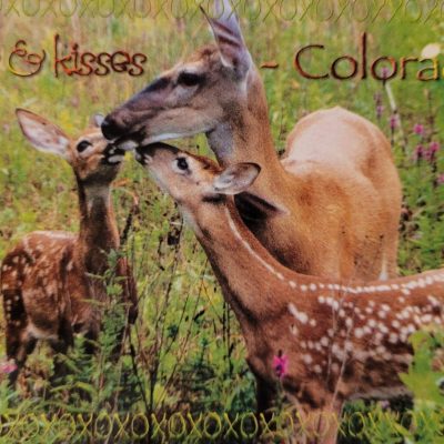 #16240 Deer hugs & kisses