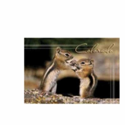Chipmunk Magnet