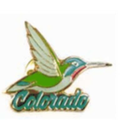 Hummingbird pin